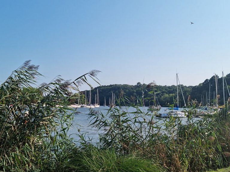 port6